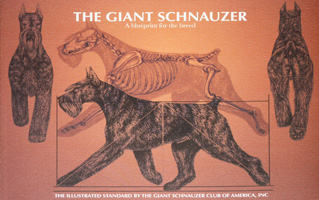 Illustrated Standard