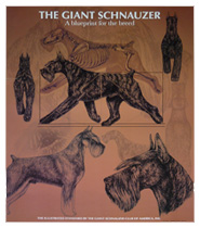 Illustrated Standard Poster