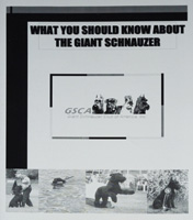 What You Should Know About The Giant Schnauzer